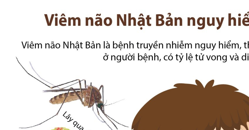 CẢNH BÁO: GIA TĂNG SỐ TRẺ LỚN MẮC VIÊM NÃO NHẬT BẢN VÌ KHÔNG TIÊM VẮC XIN MŨI NHẮC, KHÔNG ĐÚNG PHÁC ĐỒ VÀ KHÔNG ĐỦ MŨI