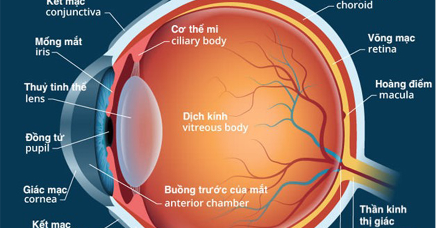 PHÒNG NGỪA VÀ ĐIỀU TRỊ MỘT SỐ VẤN ĐỀ VỀ MẮT