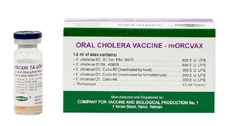 mORCVAX – VẮC XIN TẢ UỐNG (VIỆT NAM)