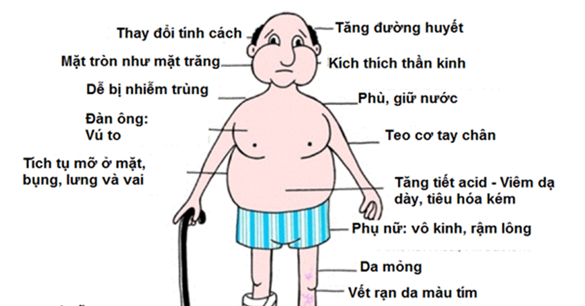 TUYẾN THƯỢNG THẬN &#038; NHỮNG ĐIỀU CẦN BIẾT