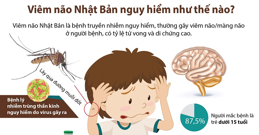 CẢNH GIÁC VỚI VIÊM NÃO NHẬT BẢN - CĂN BỆNH NGUY HIỂM KHIẾN NGƯỜI BỆNH TỔN THƯƠNG NÃO, TẬT NGUYỀN, CHẬM PHÁT TRIỂN VÀ TỬ VONG