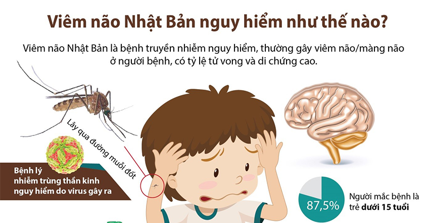 CẢNH GIÁC VỚI VIÊM NÃO NHẬT BẢN &#8211; CĂN BỆNH NGUY HIỂM KHIẾN NGƯỜI BỆNH TỔN THƯƠNG NÃO, TẬT NGUYỀN, CHẬM PHÁT TRIỂN VÀ TỬ VONG